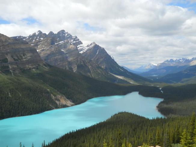 The sneaky surprise of Peyto Lake will make your jaw drop open