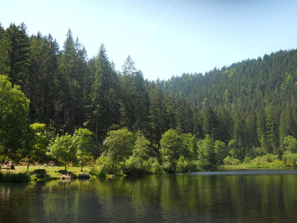 312911_10152041169225495_1858244718_n