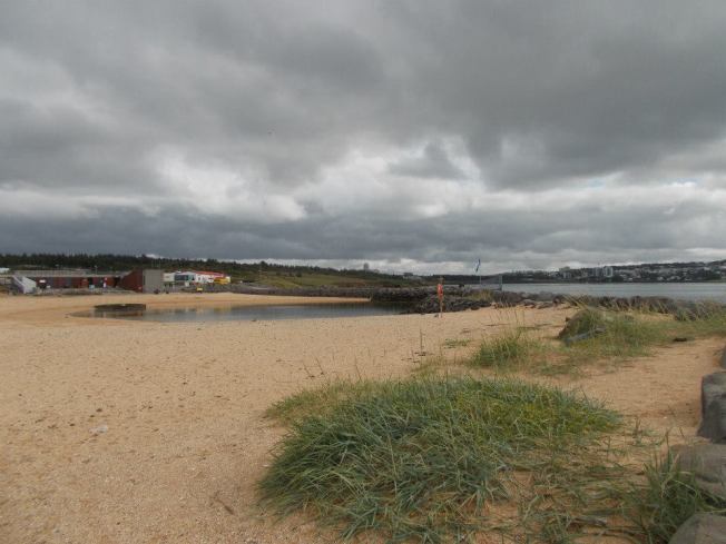 999447_10153297324070495_465050262_n