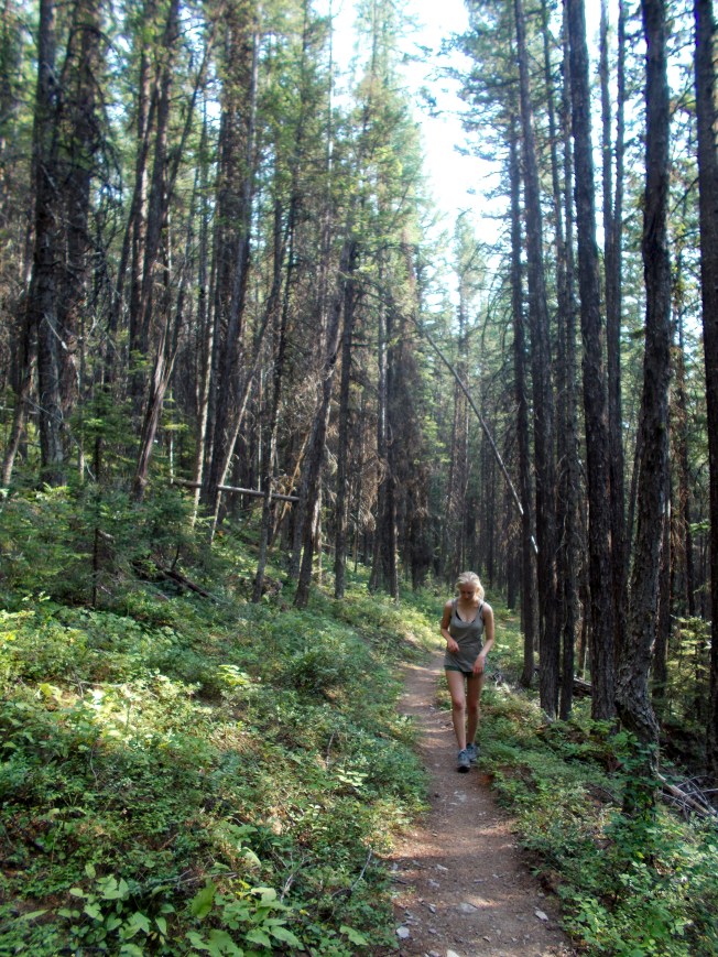 An anxious walk along the Lower Quartz Trail