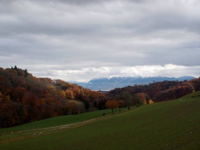 10668816_10155070791330495_6123979377190059486_o