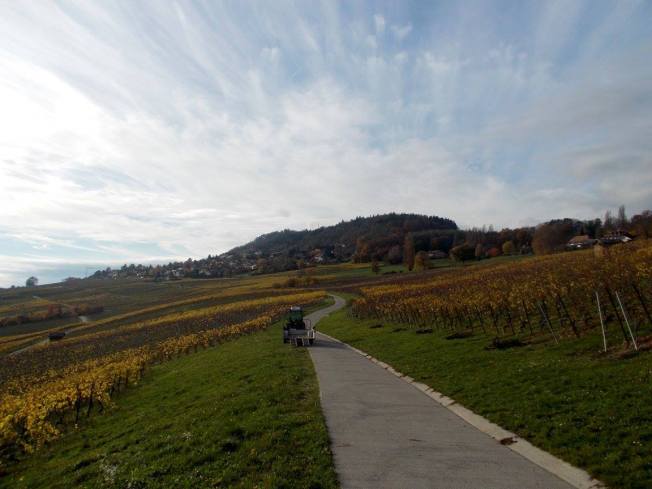 10854981_10155070801925495_2827173206732568373_o