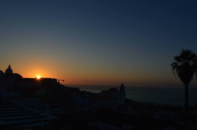 11780038_10156099506885495_915243630028879467_o