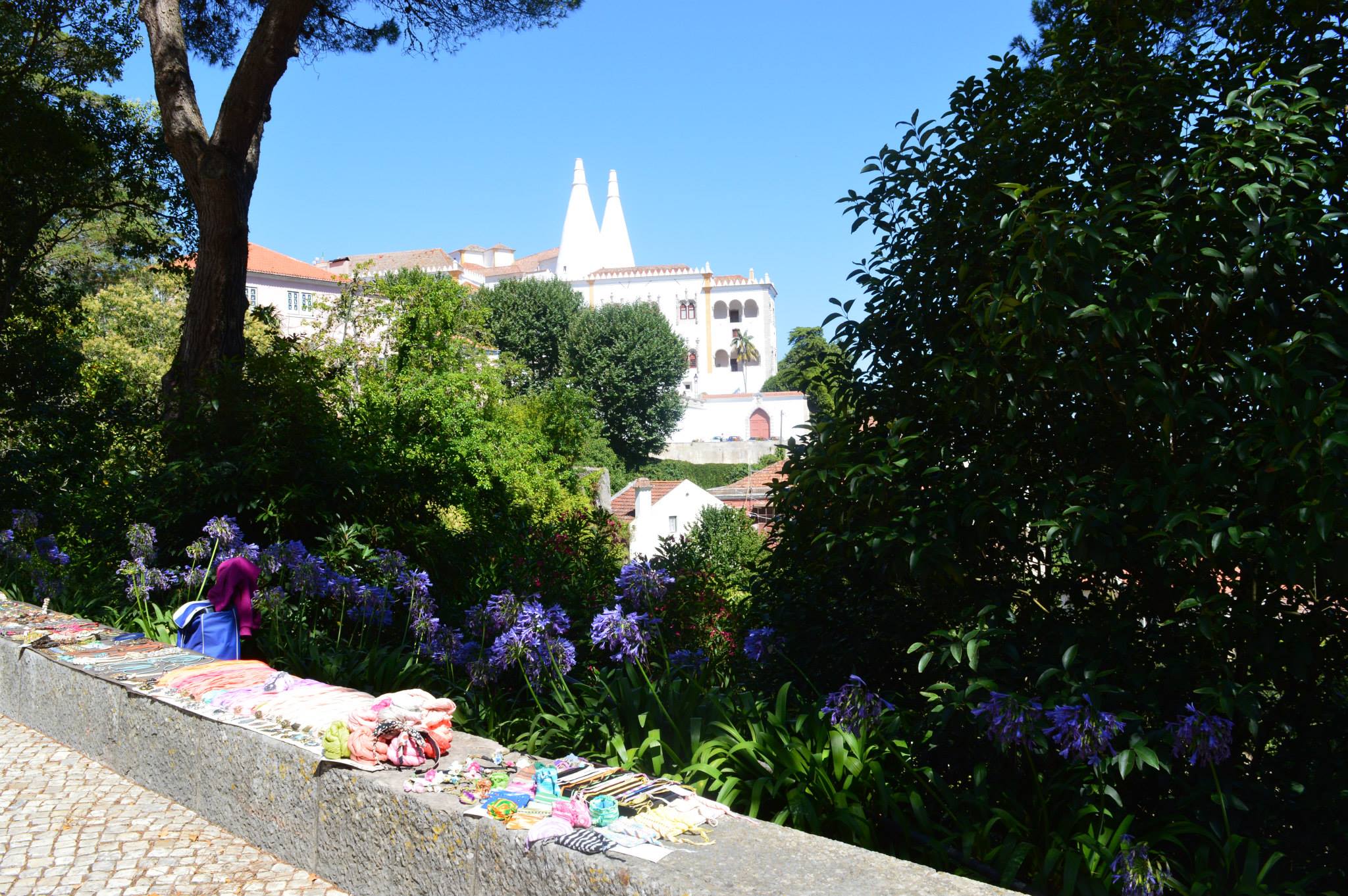 11816345_10156099509560495_1349311450634417798_o