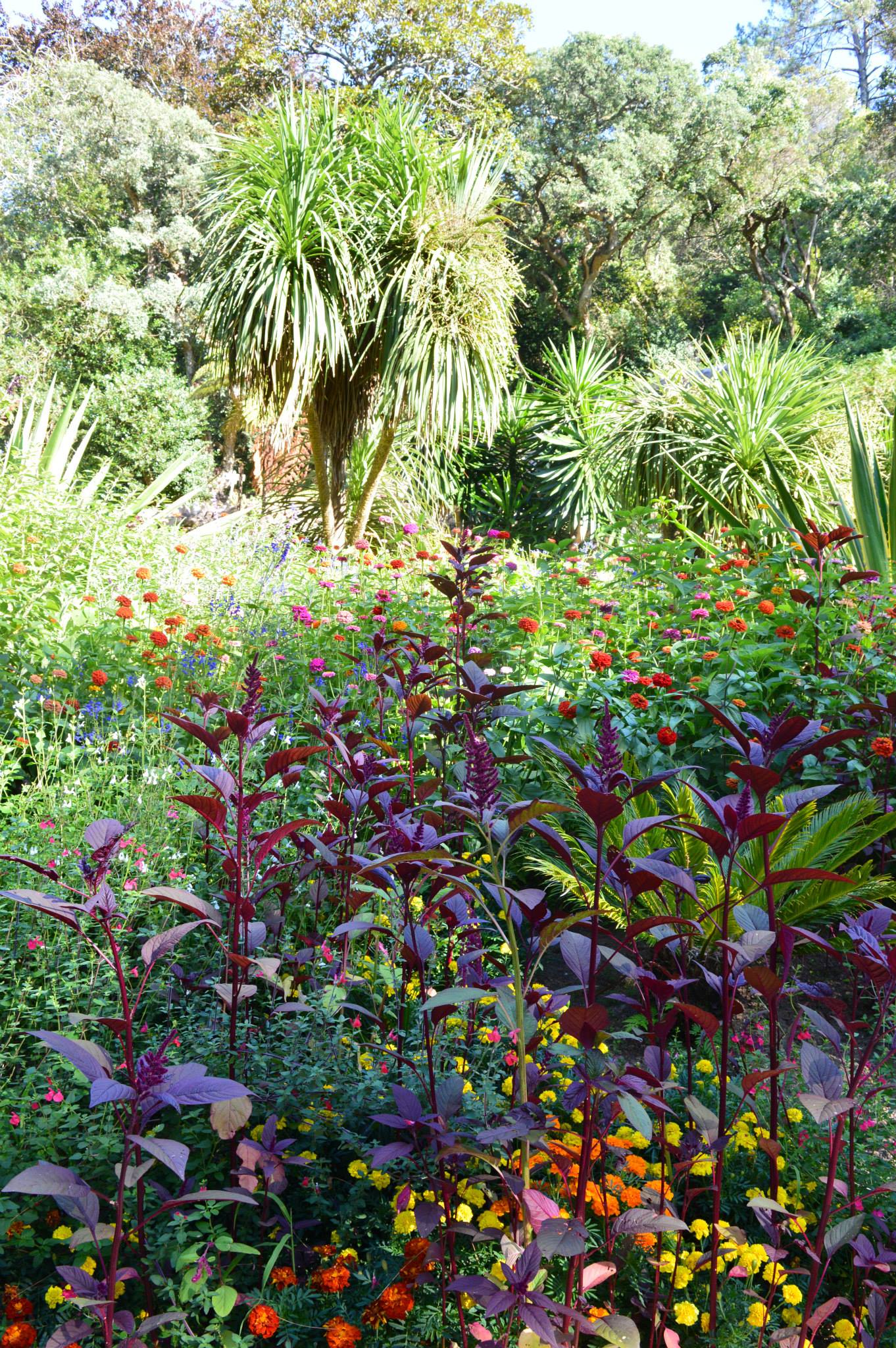 11850702_10156099569465495_2286073482171485747_o