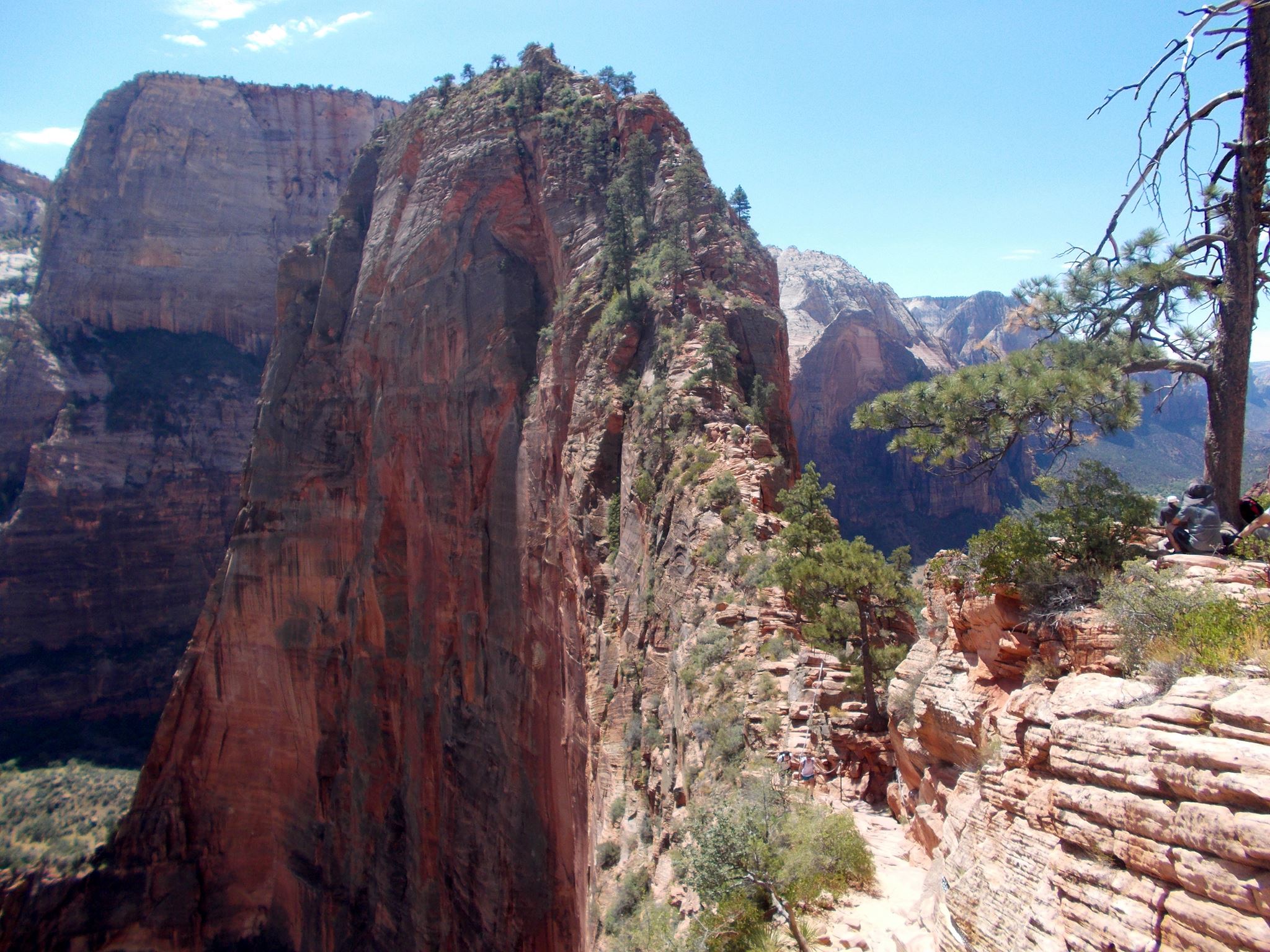 10694439_10154759357175495_3546547946842140435_o