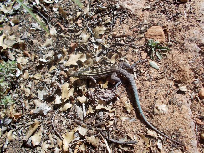 10708508_10154759302140495_8321705842315675871_o