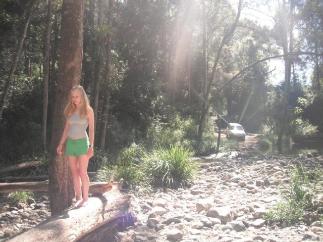 208009_186880238024855_100001086392980_453641_1564736_n