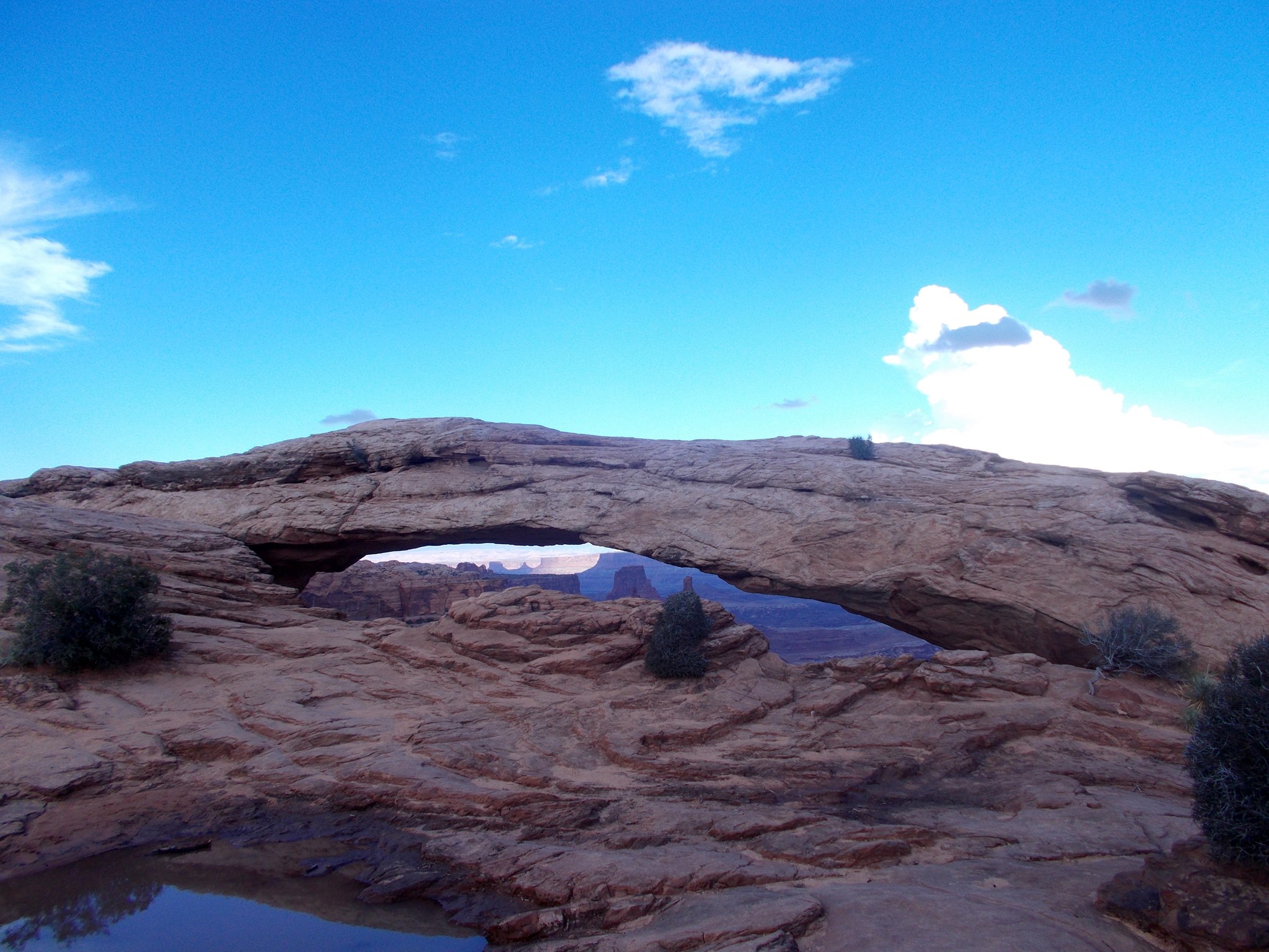 10608706_10154759254040495_2078405952642570329_o