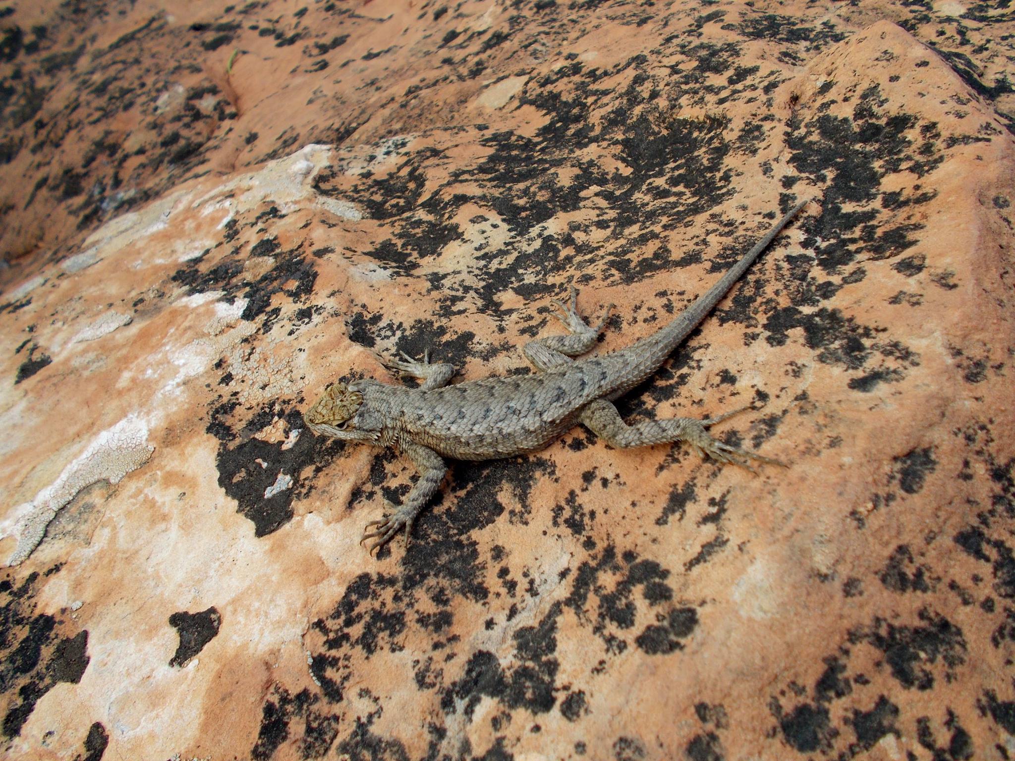 10648817_10154759271565495_4321413545502407778_o