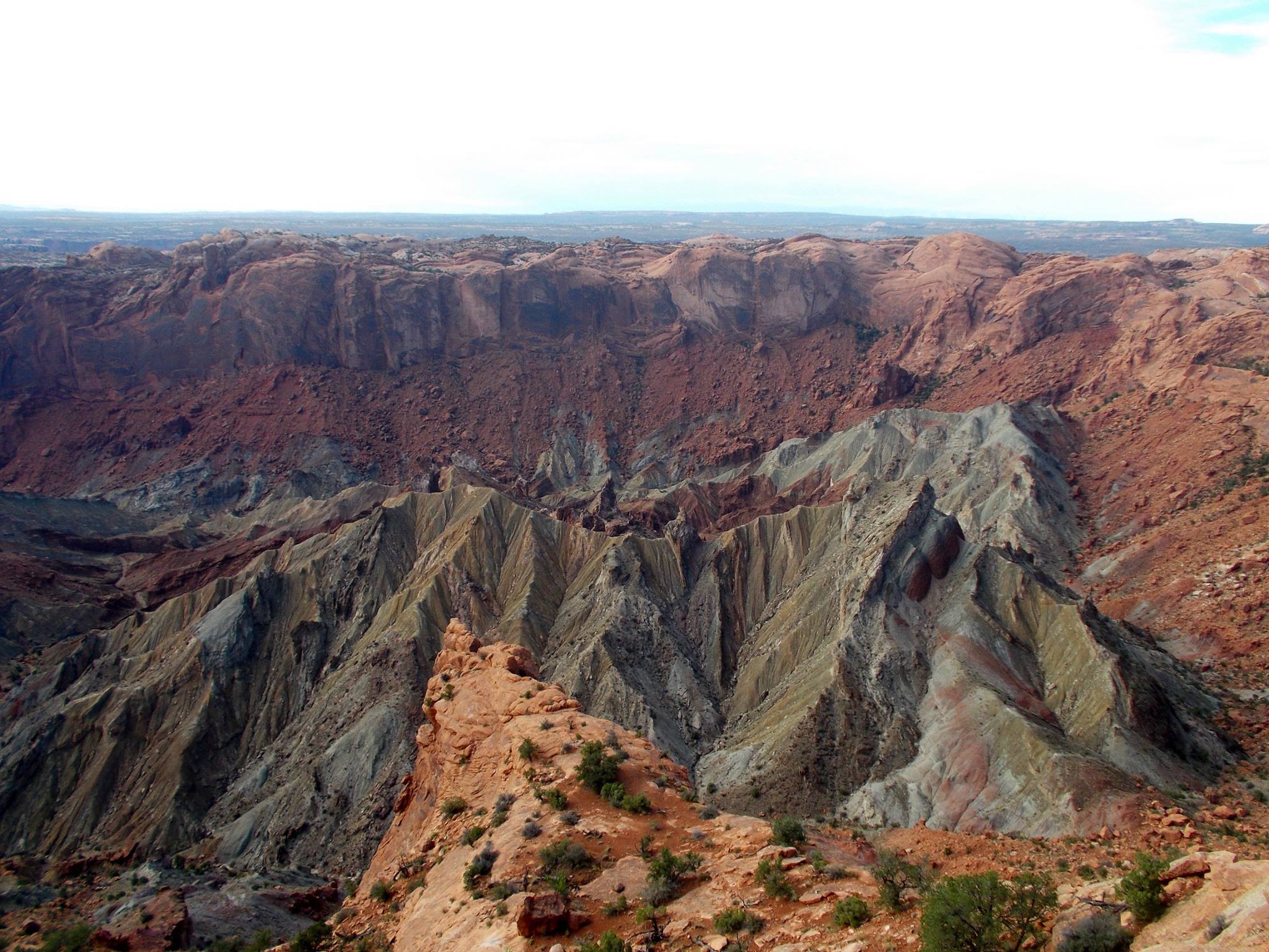 1487941_10154759271480495_7494707066978202250_o